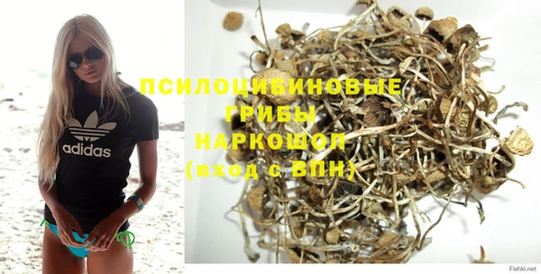 прущая мука Инсар