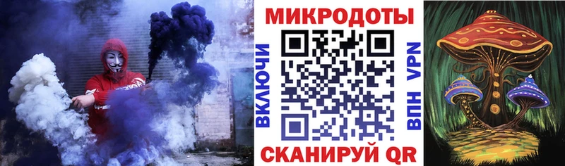 Купить где  Волжский  Псилоцибиновые грибы GOLDEN TEACHER 